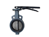 Pneumatic butterfly valves