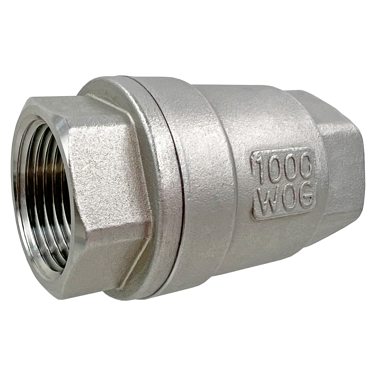 Stainless Spring Check Valves