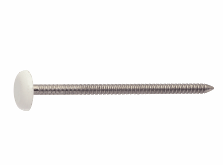 430788 POINTE ANNELÉE TÊTE BOMBÉE PLASTIFIÉE BLANCHE - INOX A4