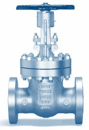Gate Valves - Class 600