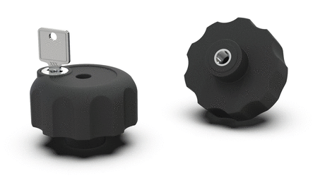 HANDLES WITH LOCK