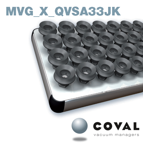 10-MVG_X_QVSA33JK-COVAL