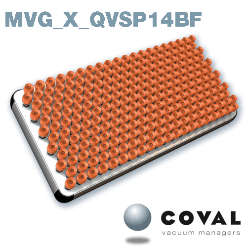 11-MVG_X_QVSP14BF-COVAL