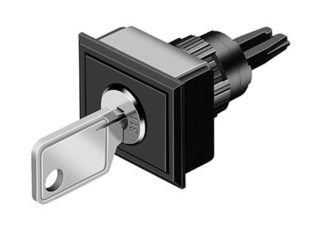 71-624.0/D Keylock switch actuator 2 positions rectangular