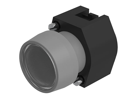704.010.7 Pushbutton actuator