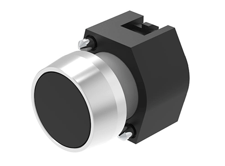 704.012.0 Pushbutton actuator