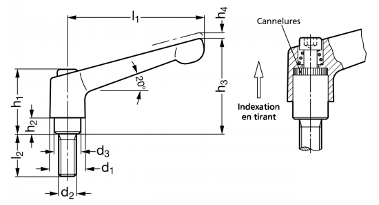 Manette indexable zamac à tige filetée - Schéma