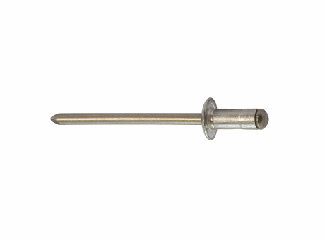 17510 RIVET MULTIGRIP TÊTE PLATE