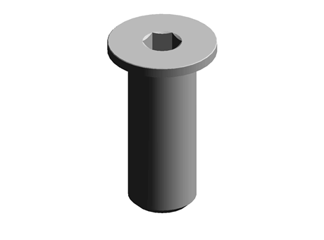 Cap Screw M10 25.0 Blackened Stainless 303