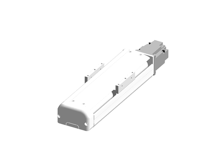 FHC100-200W Standard Ball Screw Actuator
