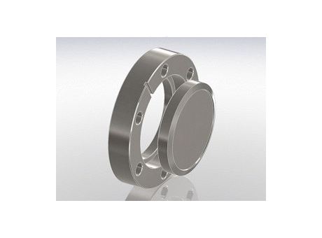 Blank Flanges SST 316L-CF026-BRT