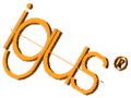 Bağlama pabuçları CG