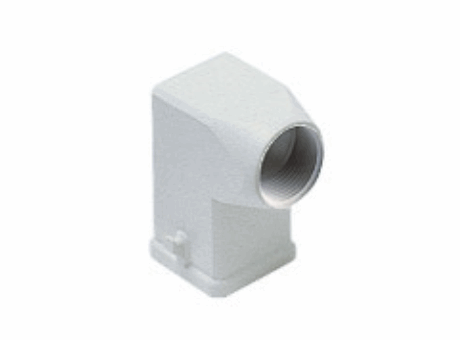 Hoods with 2 pegs, size "21.21", side entry, Pg11, thermoplastic version, IP44 (IP66/IP67 with CKR 65/CKR 65 D kits)