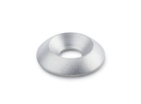 GN 185 Stainless Steel Countersunk Washers with Plastic Disk