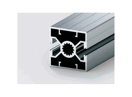 A02.4 - Double face extrusion 50x50