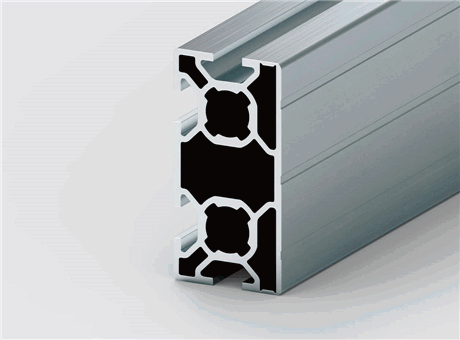 B03.6 - Face panel extrusion 30x60