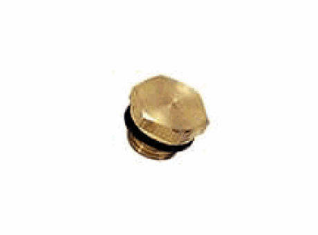 LEGRIS 0220 BOUCHON LAITON À 6 PANS MÂLE BSP CYLINDRIQUE/MÉTRIQUE