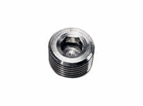 LEGRIS 0285 BOUCHON INOX À 6 PANS CREUX MÂLE NPT