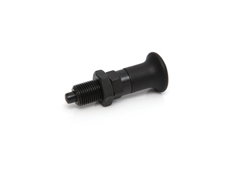 Model 01 IP
