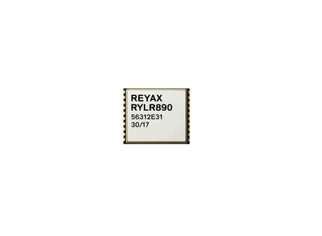 Long-Range RYLR890