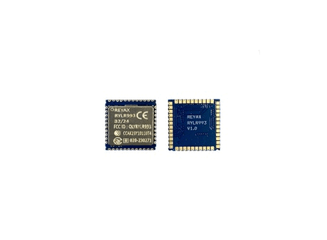 Long-Range RYLR993