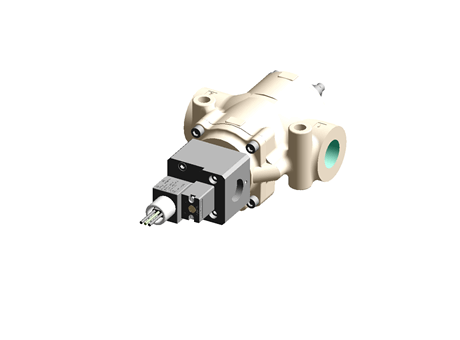 21 Series Valve