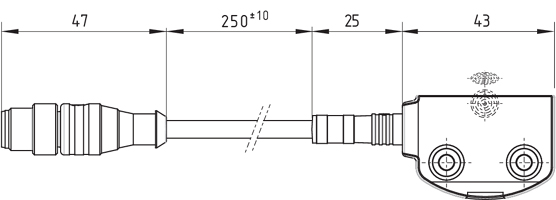 Dimensional drawing RSS260-...-LSTM12-AS