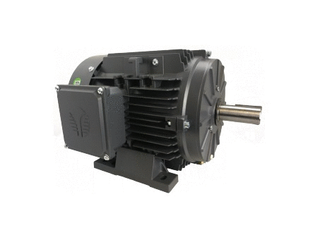Three Phase Cast Iron General Purpose GR3-CI-TF-215T