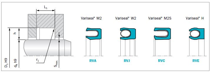 Trelleborg Sealing Solutions - Free CAD models - Turcon® Variseal® M2 ...