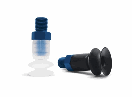 Suction cup with support