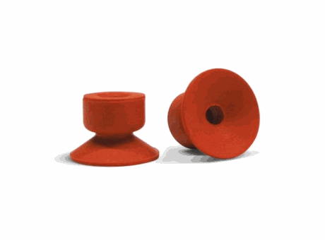 Suction cup