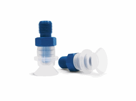 Suction cups with support
