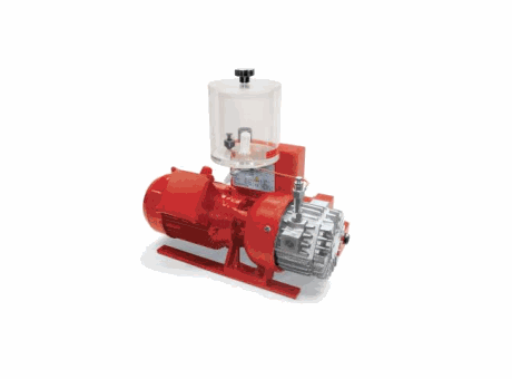 Bomba de vacío con lubricación a pérdida VTLP10/FG-VTLP15/FG y VTLP20/FG