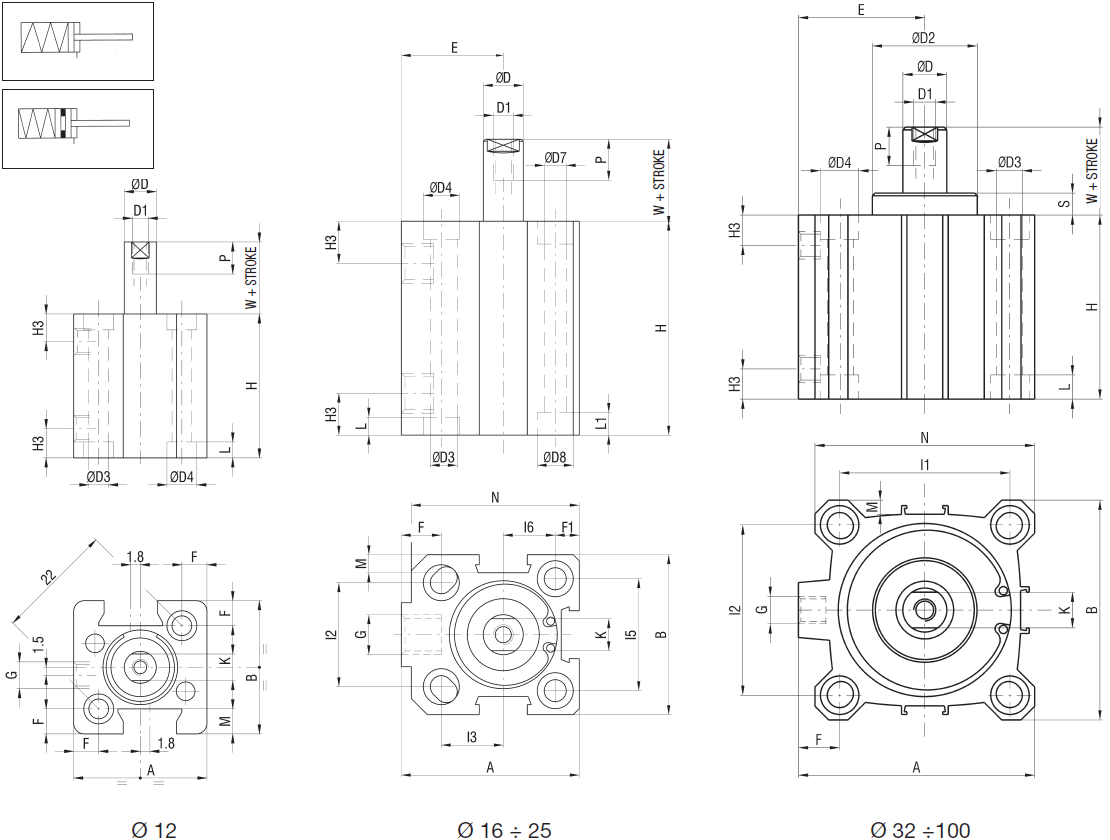 Single acting, extended rod and Single acting magnetic, extended rod