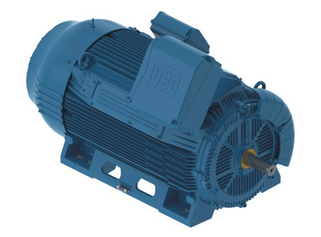 Weg Free Cad Models W50 Three Phase Electric Motor Traceparts