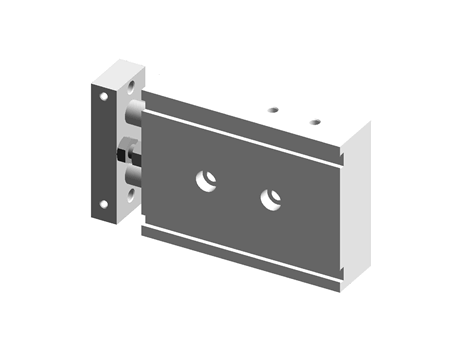 Dual Rod Cylinder(with air cushion) series CXS