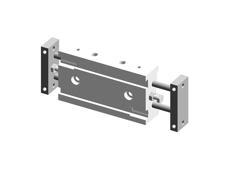 Dual rod cylinder (double rod type) series CXSW