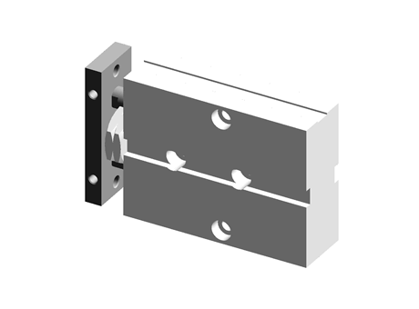Dual rod cylinder series TDA